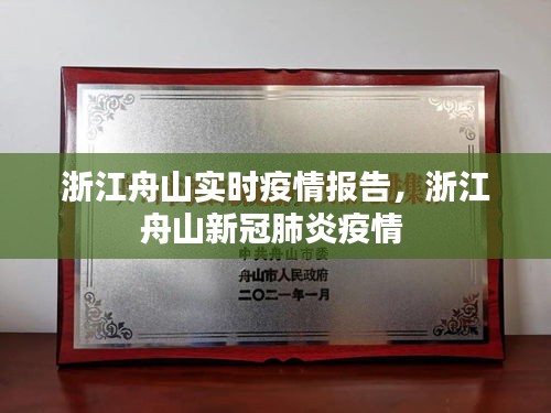 浙江舟山实时疫情报告，浙江舟山新冠肺炎疫情 