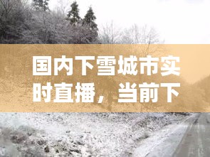 国内下雪城市实时直播，当前下雪城市 