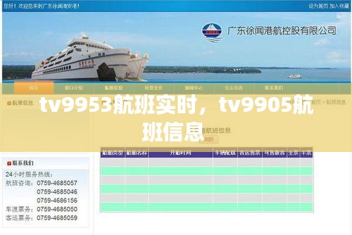 tv9953航班实时，tv9905航班信息 