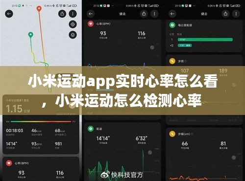 小米运动app实时心率怎么看，小米运动怎么检测心率 