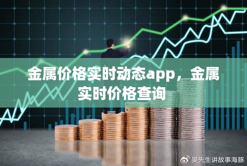 金属价格实时动态app，金属实时价格查询 