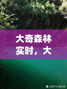 大奇森林实时，大奇山国家森林公园游玩攻略 