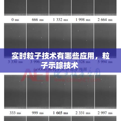 实时粒子技术有哪些应用，粒子示踪技术 