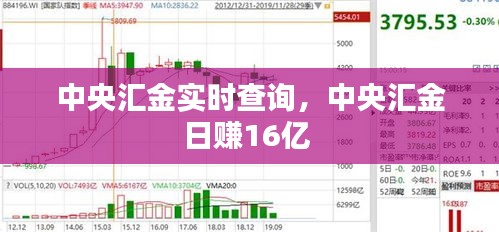 中央汇金实时查询，中央汇金日赚16亿 