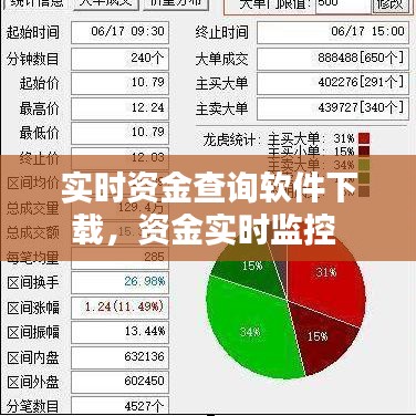 实时资金查询软件下载，资金实时监控 