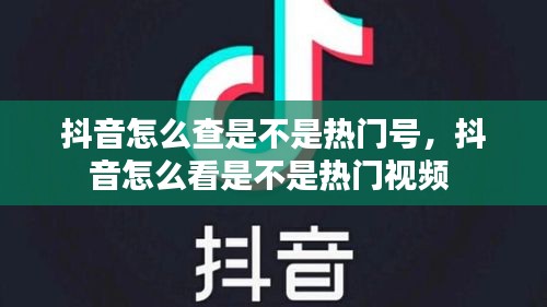 抖音怎么查是不是热门号，抖音怎么看是不是热门视频 