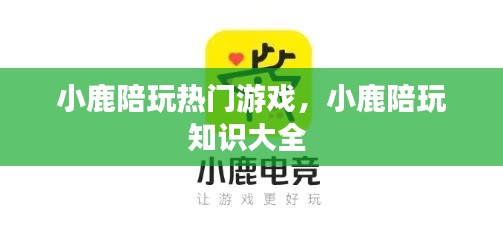 小鹿陪玩热门游戏，小鹿陪玩知识大全 