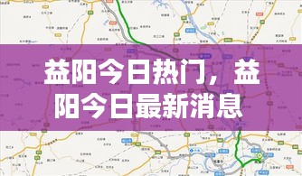 乌鸟私情