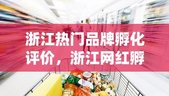 浙江热门品牌孵化评价，浙江网红孵化基地 