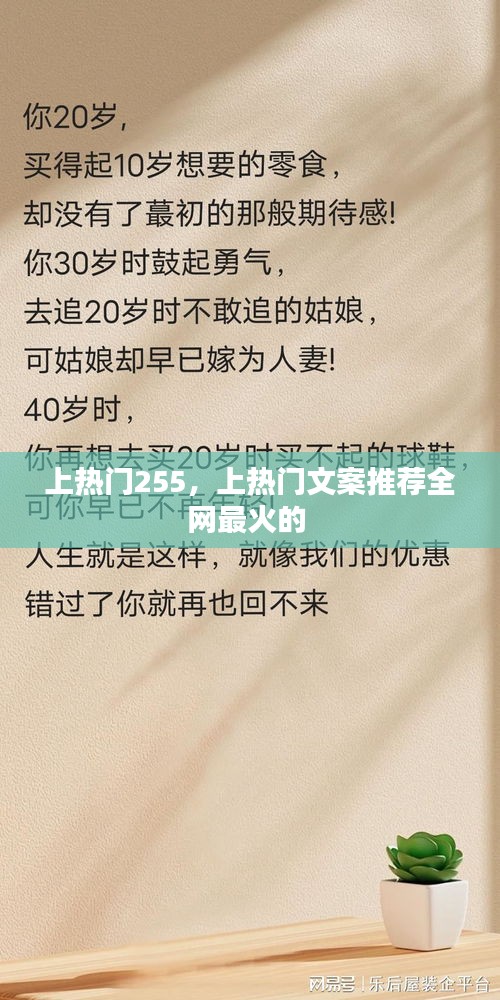 上热门255，上热门文案推荐全网最火的 