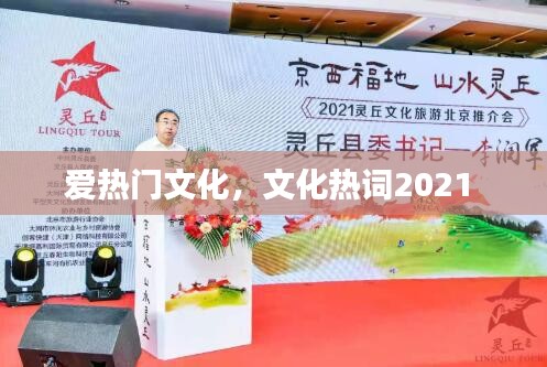 爱热门文化，文化热词2021 