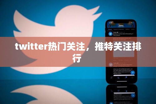 twitter热门关注，推特关注排行 