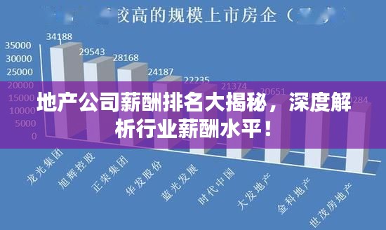 地产公司薪酬排名大揭秘，深度解析行业薪酬水平！