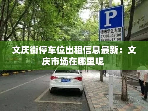 文庆街停车位出租信息最新：文庆市场在哪里呢 
