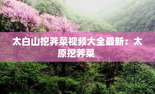 太白山挖荠菜视频大全最新：太原挖荠菜 