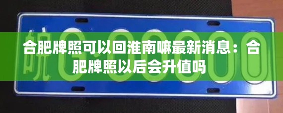 合肥牌照可以回淮南嘛最新消息：合肥牌照以后会升值吗 