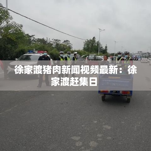 徐家渡猪肉新闻视频最新：徐家渡赶集日 