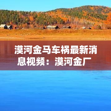 漠河金马车祸最新消息视频：漠河金厂 