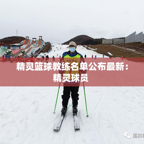 精灵篮球教练名单公布最新：精灵球员 