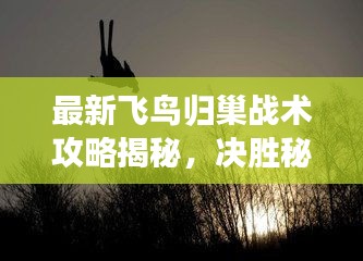 飞燕化龙 第2页