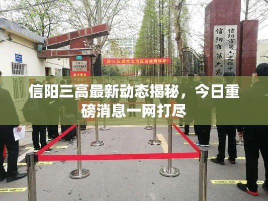 信阳三高最新动态揭秘，今日重磅消息一网打尽