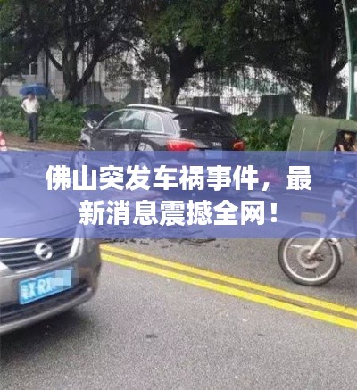 比翼鸟 第2页