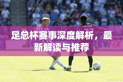 足总杯赛事深度解析，最新解读与推荐