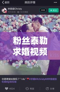 粉丝泰勒求婚视频全集，浪漫时刻，感动瞬间，最新精选汇总！