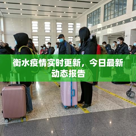衡水疫情实时更新，今日最新动态报告