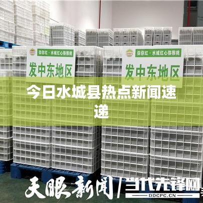 今日水城县热点新闻速递
