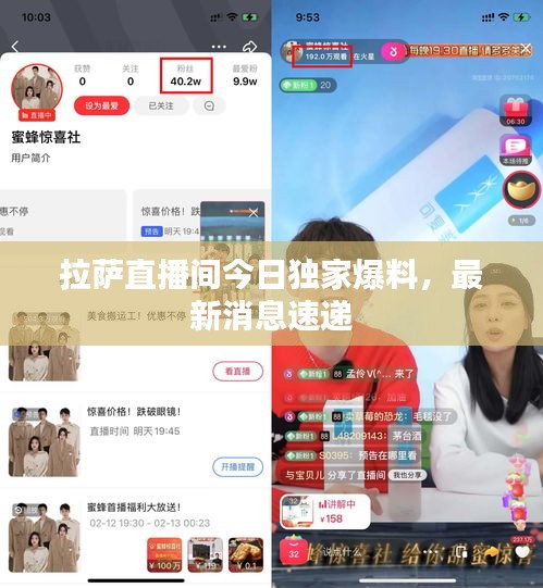 拉萨直播间今日独家爆料，最新消息速递