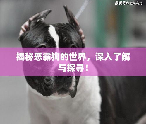揭秘恶霸狗的世界，深入了解与探寻！