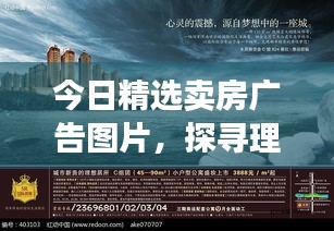 伤弓之鸟