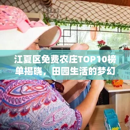 江夏区免费农庄TOP10榜单揭晓，田园生活的梦幻之选