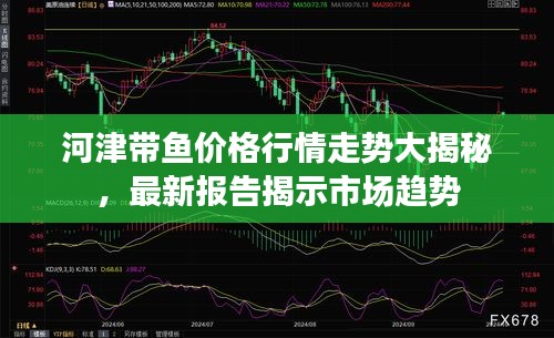 河津带鱼价格行情走势大揭秘，最新报告揭示市场趋势