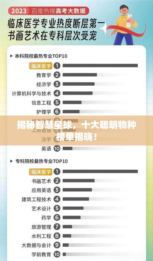 揭秘智慧星球，十大聪明物种榜单揭晓！