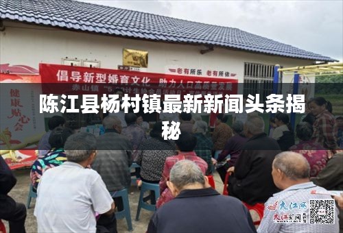 陈江县杨村镇最新新闻头条揭秘