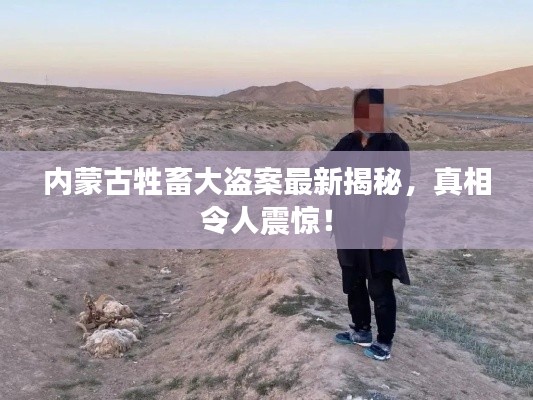 内蒙古牲畜大盗案最新揭秘，真相令人震惊！