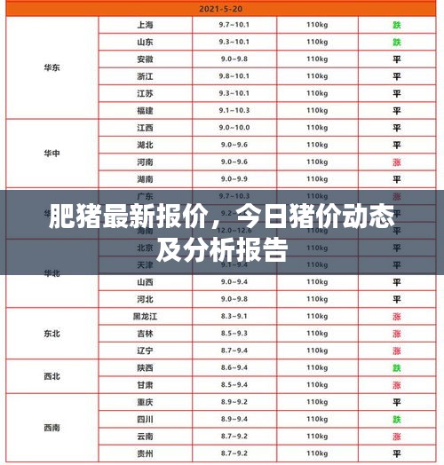肥猪最新报价，今日猪价动态及分析报告