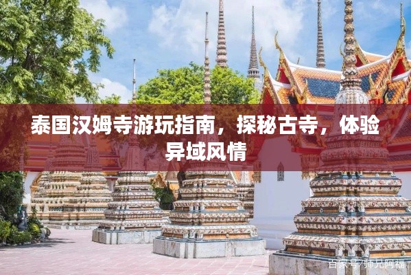 泰国汉姆寺游玩指南，探秘古寺，体验异域风情