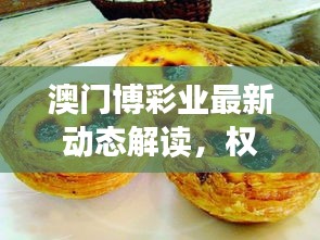 澳门博彩业最新动态解读，权威新闻头条网站带您洞悉赌博业界资讯