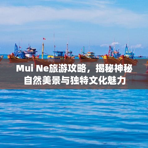 Mui Ne旅游攻略，揭秘神秘自然美景与独特文化魅力