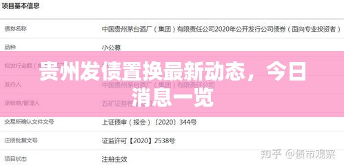 贵州发债置换最新动态，今日消息一览