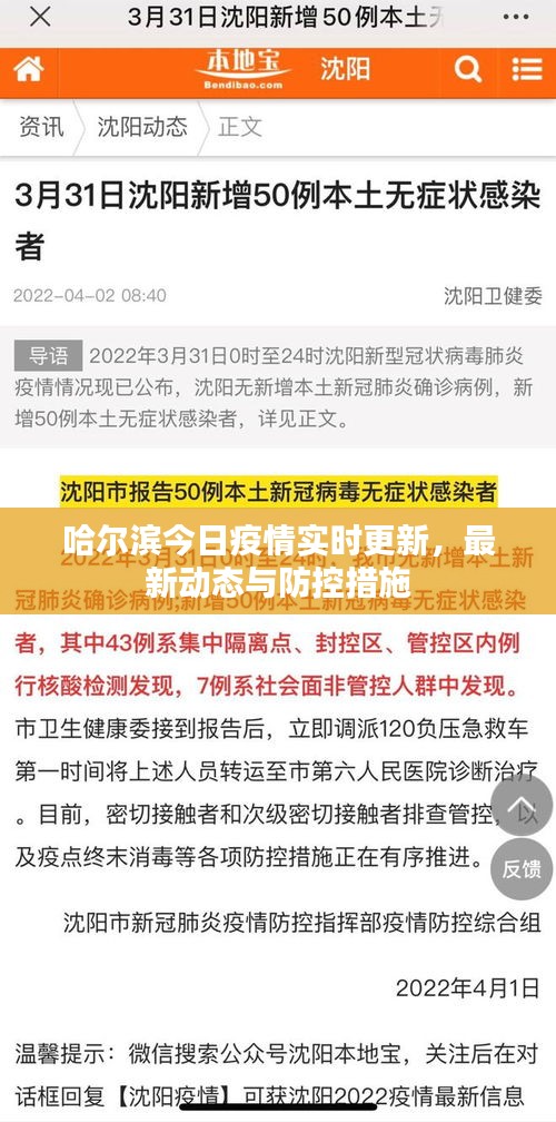 哈尔滨今日疫情实时更新，最新动态与防控措施