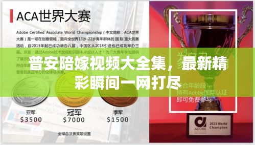 普安陪嫁视频大全集，最新精彩瞬间一网打尽