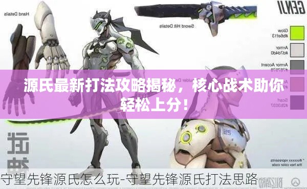 源氏最新打法攻略揭秘，核心战术助你轻松上分！