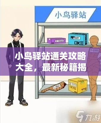 小鸟驿站通关攻略大全，最新秘籍揭秘！