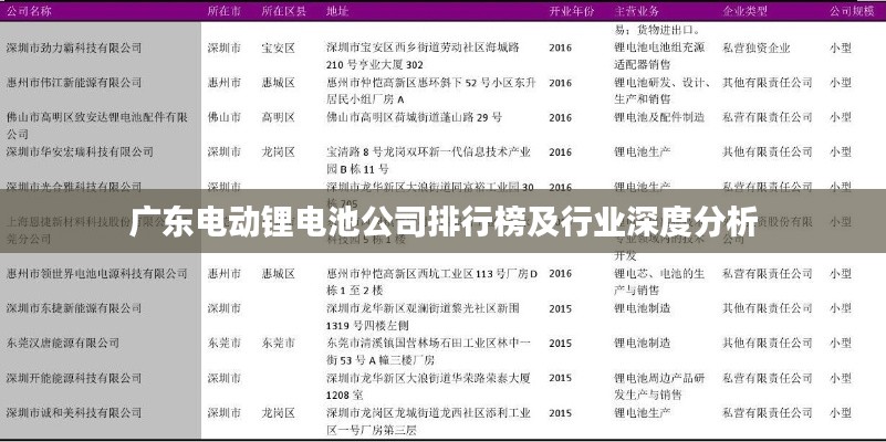 广东电动锂电池公司排行榜及行业深度分析