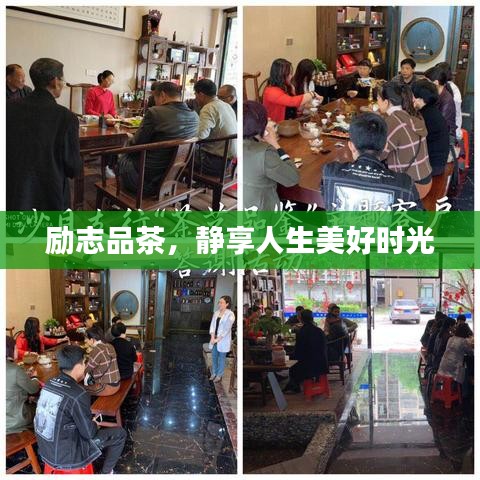 励志品茶，静享人生美好时光