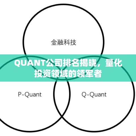QUANT公司排名揭晓，量化投资领域的领军者